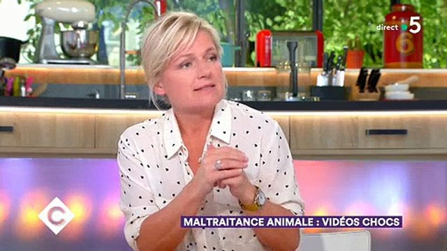 Maltraitance animale : Un témoin rappelle que la souffrance des animaux et des ouvriers vont de concert - Regardez