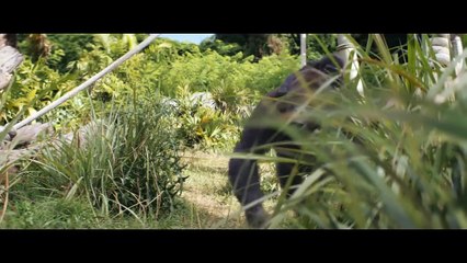 Rampage: Büyük Yıkım film fragman