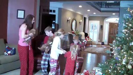 Christmas Goldendoodle Puppies from Santa!!