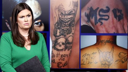 Donald Trump's 'animals': The MS-13 gang explained