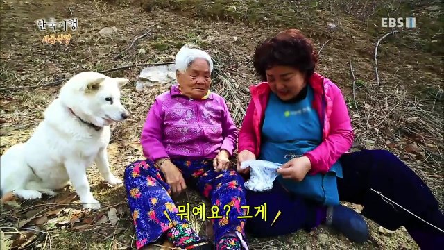 한국기행 - Korea travel_시골식당 3부 오솔길 따라_#002