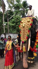 Bride Coming With Big Elephant on her Marriage Function...!!!!