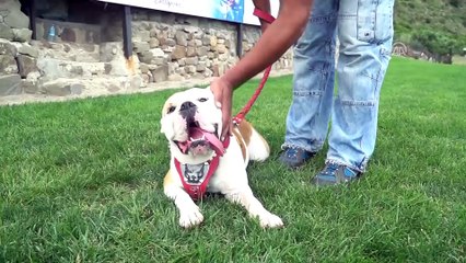 Köpeğiyle beraber gökyüzüyle buluştu - TEKİRDAĞ