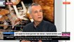 EXCLU - Animaux: Le vice-président de la FNSEA du Cher accuse l'association L214 de "truquer ses reportages avec des images de l'étranger" - VIDEO