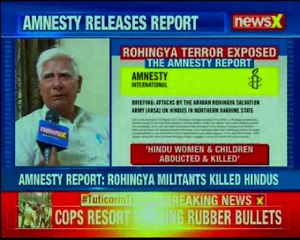 Rohingya militants killed Hindus, says Amnesty report