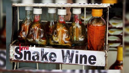 Kuliner Ekstrim: Belalang Goreng,Cemilan Tarantula hingga Wine Ular, Mau Coba?