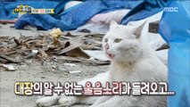 [Haha Land 2] 하하랜드2 -Against an intruder 20180523