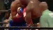 Un boxeur met un coup de poing involontaire dans la tête de l’arbitre