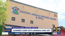 Kids can help shelter animals with this summer camp, and you can save