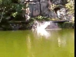 saut de ouf mehdi anto