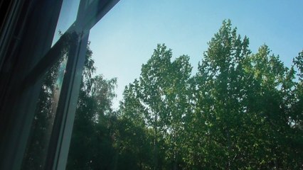 May 23 2018 DL3