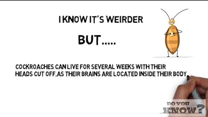 Learn with fun..Enjoy