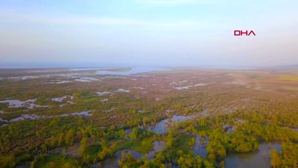 Bursa Karacabey Longozu'nda Görsel Şölen