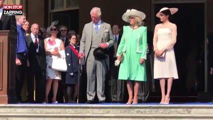 Le Prince Harry attaqué par un bourdon, Meghan Markle prise d’un fou rire (Vidéo)