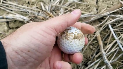 arrowhead hunting 3-1-2017