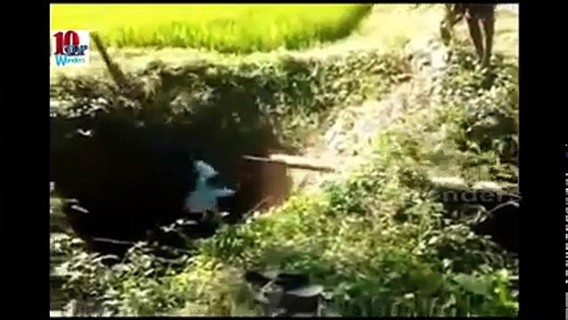 Most Indian Funny Whatsapp Videos - Try Not Laughing - Desi Pranks Version 2016 - AB