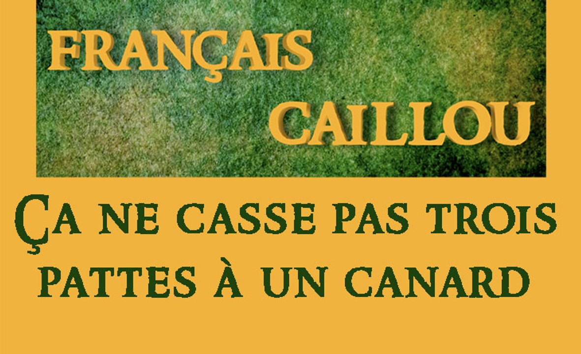 Français caillou / Définition du jour : "Ça ne casse pas trois pattes à un canard"