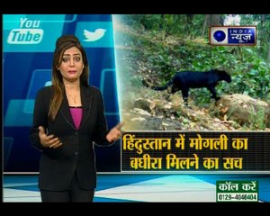 मोगली के दोस्त बघीरा के मिलने का सच | Viral Vishesh