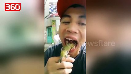 Kush ka nevojë për furçë dhëmbësh kur një zog mund t'ua pastrojë për mrekulli (360video)
