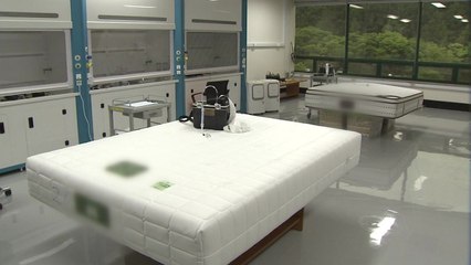 소비자원 "라돈 검출 대진침대 집단분쟁조정 신청" / YTN