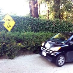 Amanda Cerny  Logan Paul , JÉRÔME JARRE , Crystal Hefner , Kayla Collins  & Rhodes411 Vine