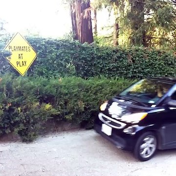 Amanda Cerny Logan Paul , JÉRÔME JARRE , Crystal Hefner , Kayla Collins & Rhodes411 Vine