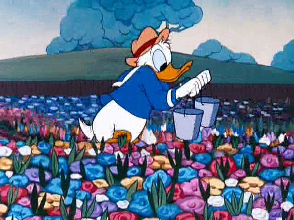 Donald Duck - Bee On Guard  (1951)