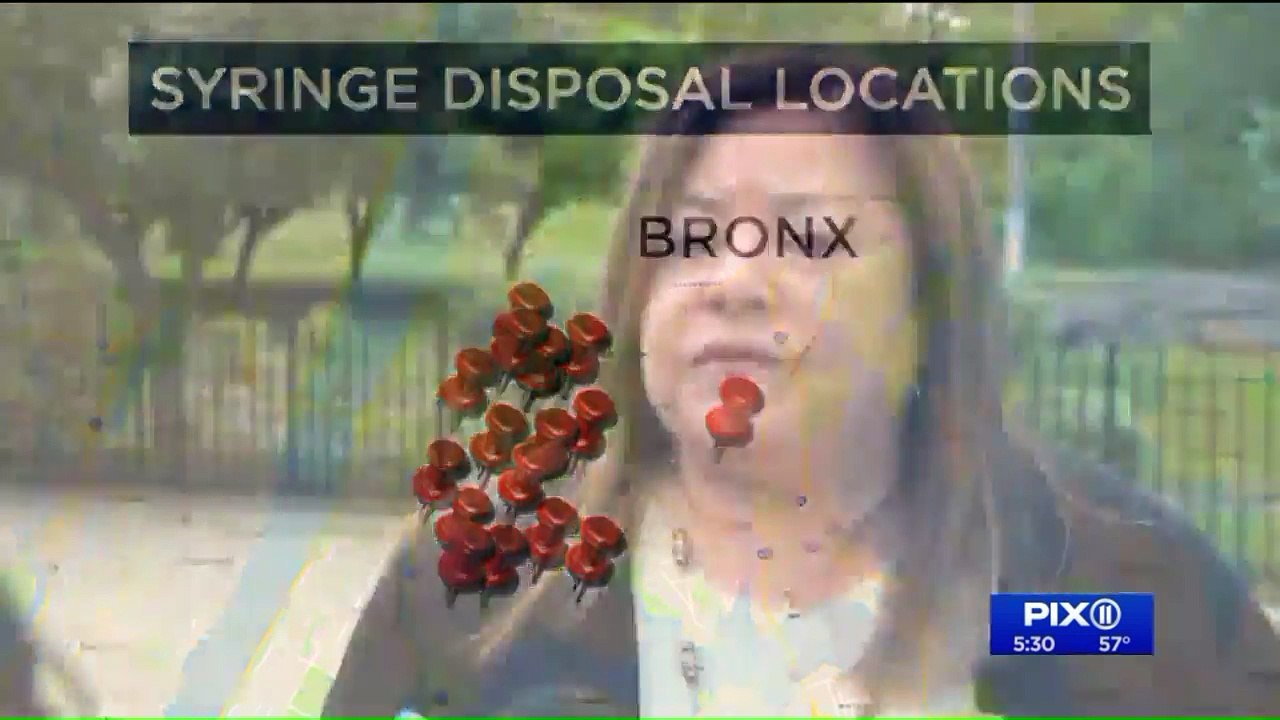 Dozens of Syringe Disposal Boxes to be Placed in 16 Parks Across NYC Borough