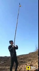 Amazing Dog Whatsapp Status Video