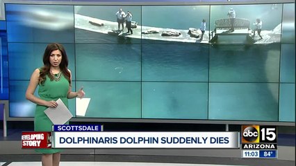 High school in Sierra Vista gets bomb threat