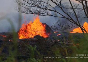 Lava Spews From Fissures in Hawaii's Leilani Estates