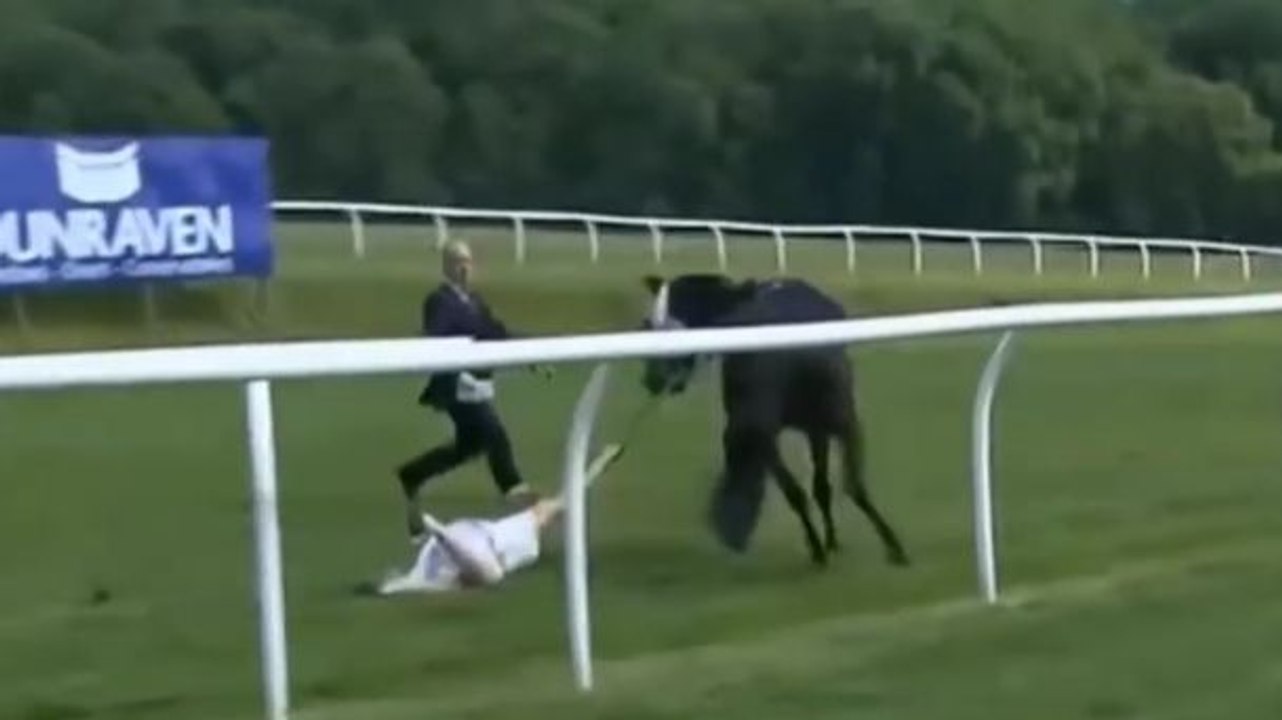 Une journaliste sportive attrape un cheval sans jockey