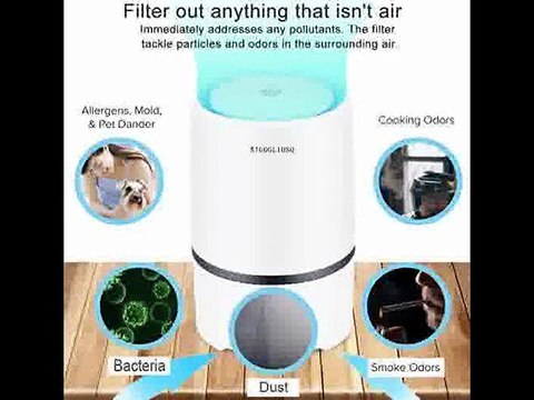 [- Portable Air Purifier for Home with True HEPA & Active Carbon Filters, Desktop USB Air Clean
