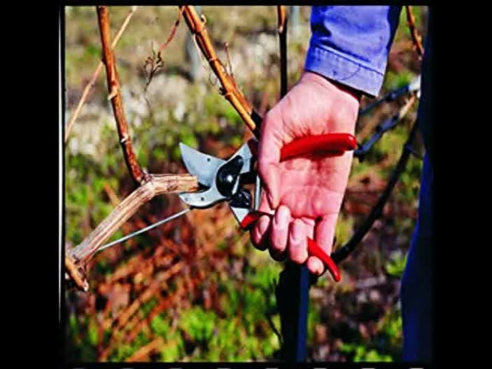 [- Felco FEL2 Model 2 Original Secateurs  -]