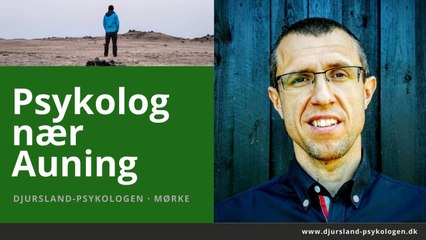 Psykolog Auning · stress af og tænk klart igen · Djursland-psykologen