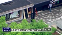 Burglars Steal $50K in Merchandise from Illinois Louis Vuitton Store