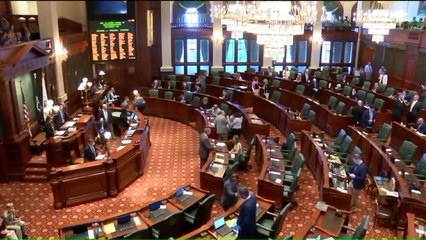 Illinois House Speaker Calls for Investigation into Claims of Retaliation Against Lawmaker