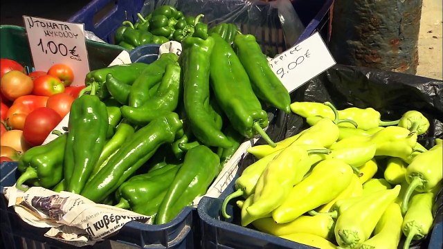 Mykonos, the mythical island in the heart of the Cyclades (Greece)