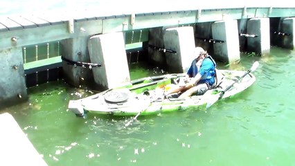 Monster Goliath Groupers with NFL Linebacker Sam Barrington - 4K