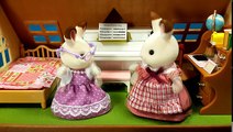 Морская вечеринка на круизном корабле! Мультик с игрушками Sylvanian Families