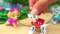 Patrulha Canina Especial Dia dos Namorados Paw Patrol Video Novela em Potrugues