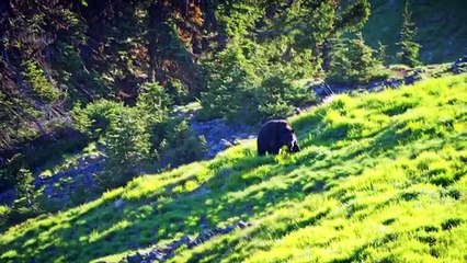 Beautiful Washington-Scenic Nature Documentary Film about Washington State - Part 4 in 4K - TRAILER