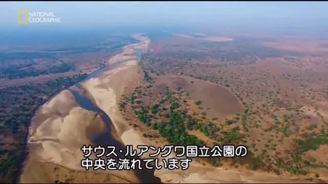 Lions King Beast - Africas Best Prey Hunters | Wild Big Cats 2018 Documentary