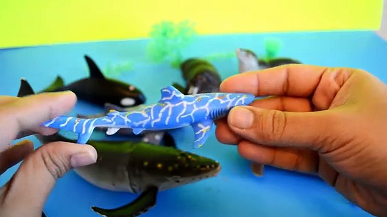 Sea Animals-Lets Learn the Names And Sounds of Whales,Seal,Walrus-Preschool Learning-Kids z Fun