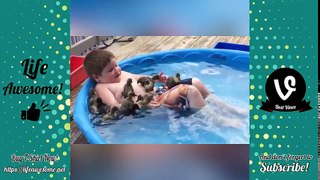 Try Not To Laugh Watching Funny Animals Compilation 2017 - Funny Kids vs Animals Videos