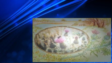 The Wind in the Willows S03E11 A Producer's Lot