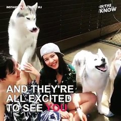 This is actually the best thing you’ll... - In The Know Delights