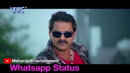 Download Video: Pawan Singh || सेजिया सजावल भईल बेकार हो माटी में मिल गईल कोयल सिंगार हो || Whatsapp Status || Bhojpuri Wanted movie