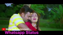 New _:_लागेलूल हुुनरी मुनरी सुनरी सजनिया हो मीठे रस सवरिया जैसे|| Pawan Singh song  ||Whatsapp Status || Wanted Movies