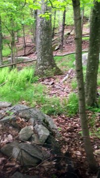 BRIAN GHILLIOTTI: EXPLORING LITHIC SITE ALONG CT I-395 SOUTH: EXPLORING MORE STONE CAIRNS